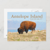 Antelope Island, Great Salt Lake, Utah Briefkaart (Voorkant / Achterkant)