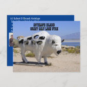 Antelope Island Great Salt Lake Utah-Briefkaart Briefkaart (Voorkant / Achterkant)