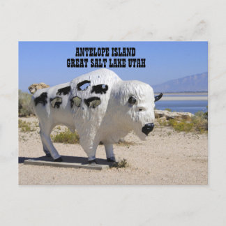 Antelope Island Great Salt Lake Utah-Briefkaart Briefkaart