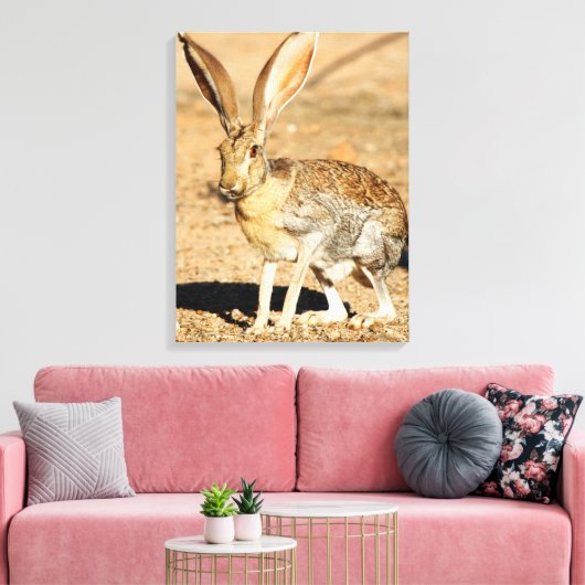 Antelope jackrabbit portret, Arizona Canvas Afdruk (Insitu (Woonkamer))