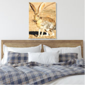 Antelope jackrabbit portret, Arizona Canvas Afdruk (Insitu (Slaapkamer))