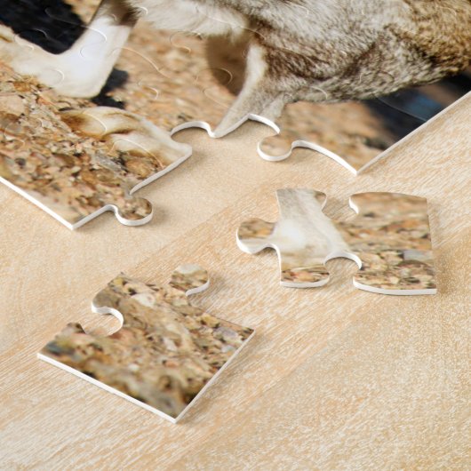 Antelope jackrabbit portret, Arizona Legpuzzel (Zijkant)