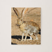 Antelope jackrabbit portret, Arizona Legpuzzel (Verticaal)