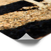 Antelope jackrabbit portret, Arizona Poster (Hoek)