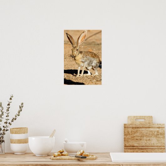 Antelope jackrabbit portret, Arizona Poster (Keuken)