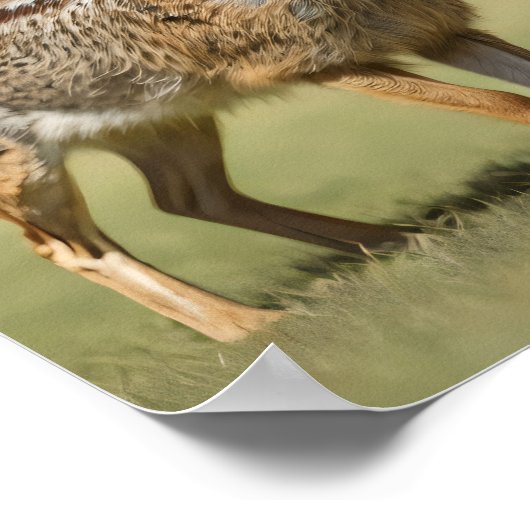 Antelope Jackrabbit staand op gras Poster (Hoek)