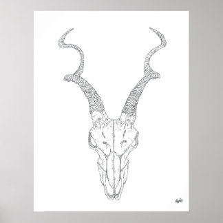 Antelope Print