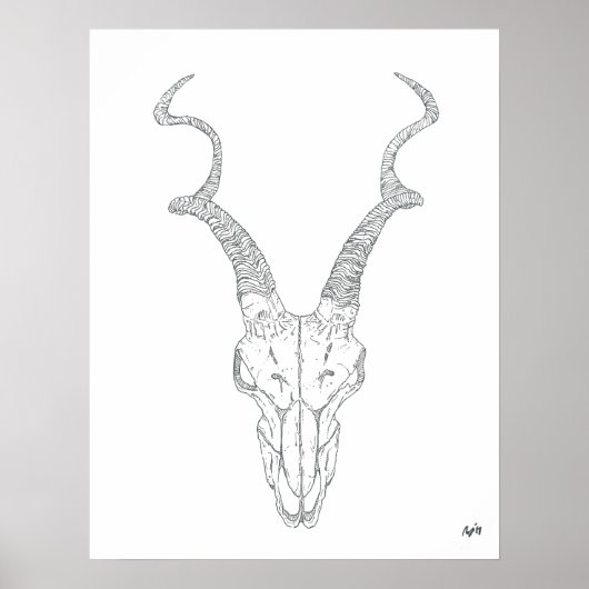 Antelope Print (Voorkant)