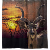Antelope Sunset Photo Collage Douchegordijn (Voorkant)