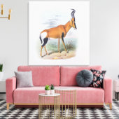 Antelope, uit 'The Book of Antelopes', Canvas Afdruk (Insitu (Woonkamer))