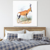 Antelope, uit 'The Book of Antelopes', Canvas Afdruk (Insitu (Slaapkamer))