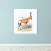 Antelope, uit 'The Book of Antelopes', Canvas Afdruk (Insitu (Houten vloer))