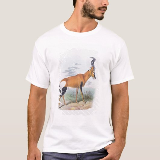 Antelope, uit 'The Book of Antelopes', T-shirt (Voorkant)