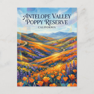 Antelope Valley California Poppy Reserve Briefkaart