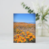 Antelope Valley California Poppy Reserve Briefkaart (Staand voorkant)