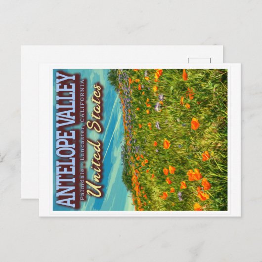 ANTELOPE VALLEY - CALIFORNIA US - SPRING POPPIES BRIEFKAART (Voorkant / Achterkant)