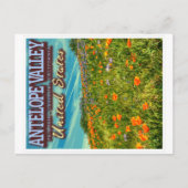 ANTELOPE VALLEY - CALIFORNIA US - SPRING POPPIES BRIEFKAART (Voorkant)