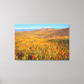 Antelope Valley Canvas Afdruk (Voorkant)
