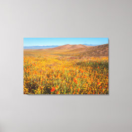 Antelope Valley Canvas Afdruk