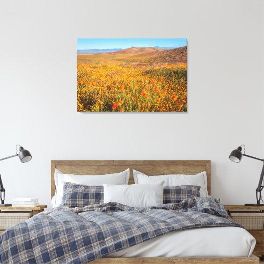 Antelope Valley Canvas Afdruk (Insitu (Slaapkamer))
