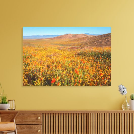 Antelope Valley Canvas Afdruk (Insitu (Woonkamer))