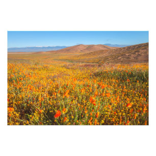 Antelope Valley Foto Afdruk