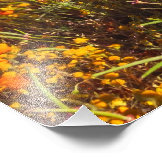 Antelope Valley Foto Afdruk (Hoek)