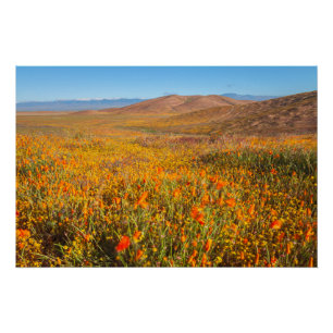 Antelope Valley Perfect Poster