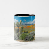 Antelope Valley Poppy Reserve Coffee Mok (Center)