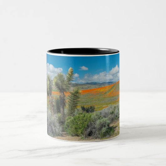 Antelope Valley Poppy Reserve Coffee Mok (Center)