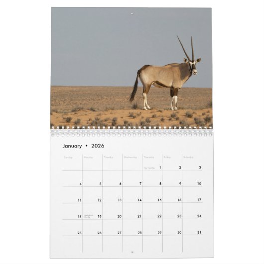 Antelopes Kalender (Jan 2026)