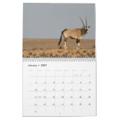 Antelopes Kalender (Jan 2027)