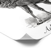 Antelopes Poster (Hoek)