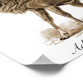 Antelopes Poster (Hoek)