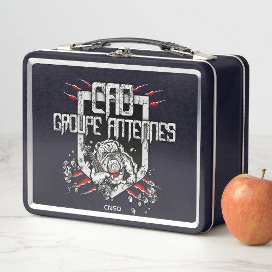 ANTENNSE VALISETTE (In situ)