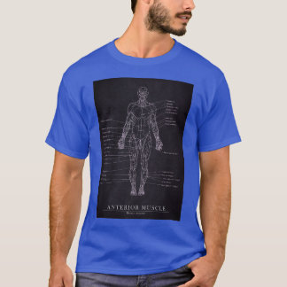 Anterieurspier Menselijke anatomie Blauwkunst T-shirt