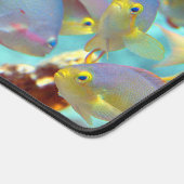 Anthias - Kleurrijke school van vissen op koraalri Bureaumat (Hoek)