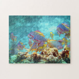 Anthias - Kleurrijke school van vissen op koraalri Legpuzzel