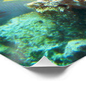 Anthias - Kleurrijke school van vissen op koraalri Perfect Poster (Hoek)