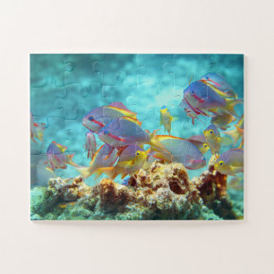 Anthias - Kleurrijke school vissen bij koraalrif Legpuzzel