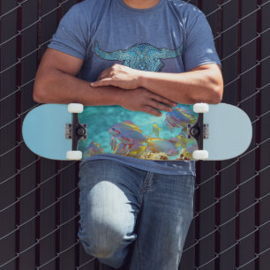 Anthias - Kleurrijke school vissen bij koraalrif Persoonlijk Skateboard