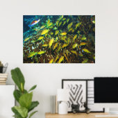 Anthias Reef Party Poster (Thuiskantoor)