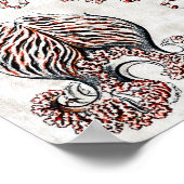 Anthomedusae Poster (Hoek)