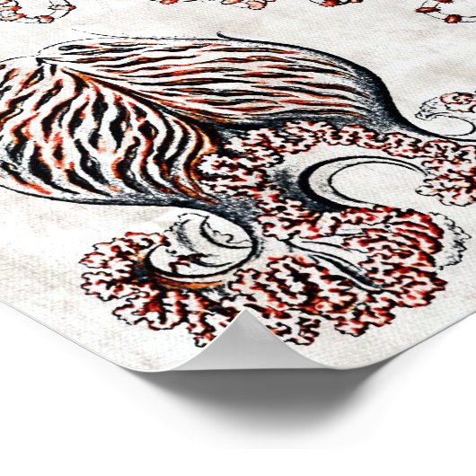 Anthomedusae Poster (Hoek)