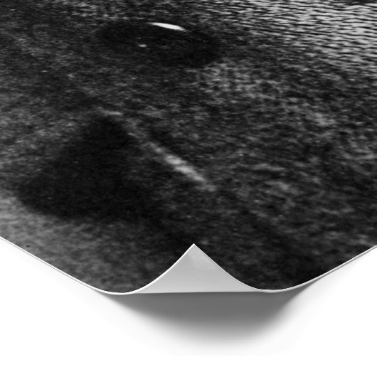 Anthony Fokker Poster (Hoek)