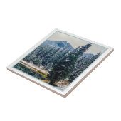 Anthony Lake Tegeltje (Zijkant)