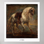 Anthony van Dyck Zedign Art Poster #31 (Voorkant)