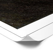 Anthony van Dyck Zedign Art Poster #844 (Hoek)