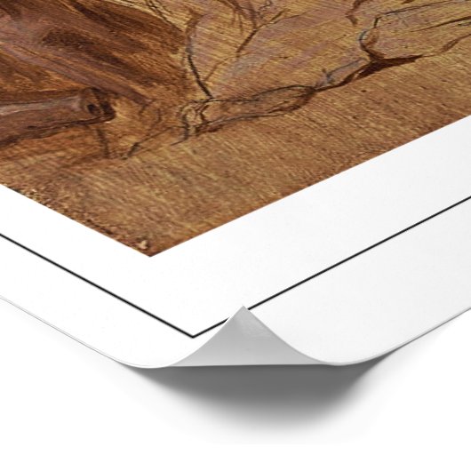 Anthony van Dyck Zedign Art Poster #889 (Hoek)