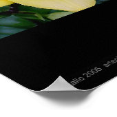 Anthony's Lily van Gregory Gallo Poster (Hoek)